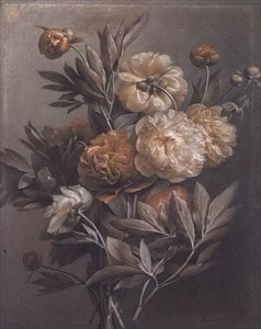 Pivoines