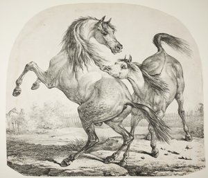 Chevaux sauvages se battant, vers 1820 - Antoine Charles Horace Vernet