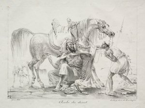 Arabe du désert - Antoine Jean Gros
