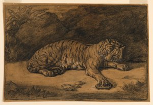 Un tigre et une tortue - Antoine Louis Barye