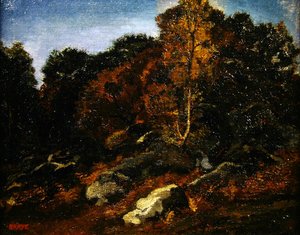 Automne à Fontainebleau