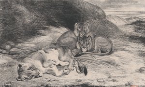 Lionne et Lionceaux, possiblement 1832 - Antoine Louis Barye