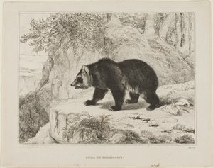 Ours du Mississippi - Antoine Louis Barye