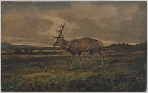 Cerf marchant