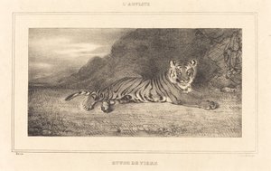 Étude d