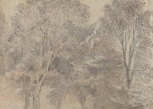 Cimes des arbres [verso]