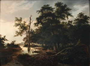 Paysage forestier