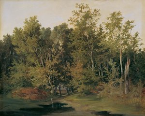 Paysage forestier en Basse-Autriche