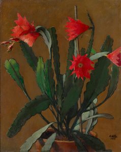 Nature morte avec cactus en fleur