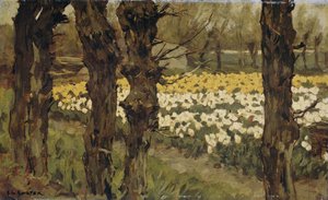 Champs de tulipes - Anton L. Koster