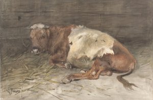 Jeune taureau couché - Anton Mauve