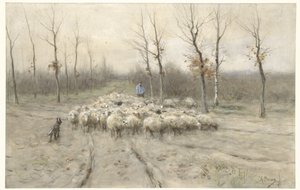 Troupeau de moutons sur la lande près de Laren