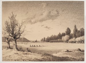 Paysage ouvert avec un bois au loin. Bourgogne