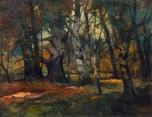 Forêt d
