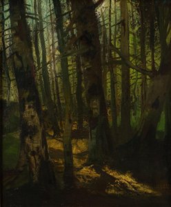 Clairière de forêt