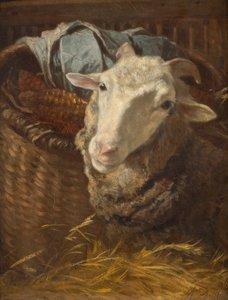 Un mouton - Anton Schrodl