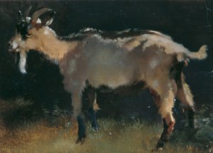 Chèvre