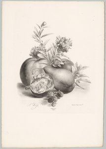 Fleurs, pommes, poire, grenade et mûres (série: Études de fleurs et de fruits, 10e livraison)