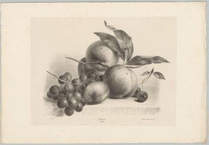 Raisins, prune, pêches et cerises - Anton Weiss