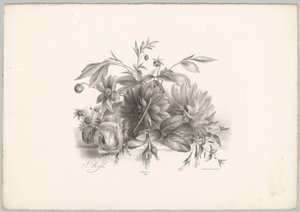 Roses, dahlias et fuchsias (Bloem en Fruit Studien, 10e aflevering) - Anton Weiss