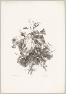 Roses et fleurs en forme de calice (série: Études de fleurs et de fruits, 10e livraison) - Anton Weiss