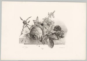 Roses, lys, fleurs en forme de cloche et papillon - Anton Weiss