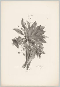 Fleurs en forme d