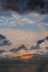 Nuages saumon, 2011