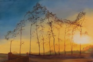 Le Newt, Somerset, 2018