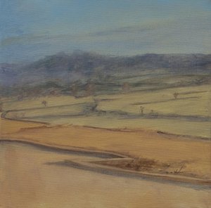 Haie en zigzag, Somerset, 2022 - Antonia Myatt