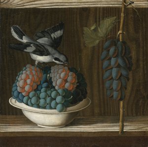 Nature morte avec des raisins et une pie-grièche grise (allégorie de la peinture) - Antonio (fl.1478 1513) Leonelli