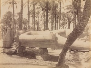 Statue de Ramsès à Saqqara - Antonio Beato