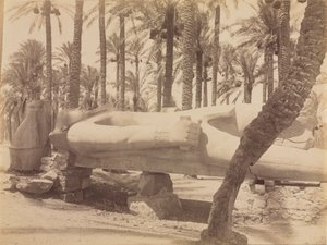 Statue de Ramsès à Saqqarah, vers 1870-1880