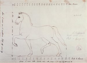 Étude pour un cheval pour un monument équestre - Antonio Canova