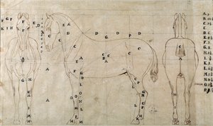Étude pour un cheval pour un monument équestre