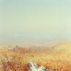 Gargano - Antonio Ciccone