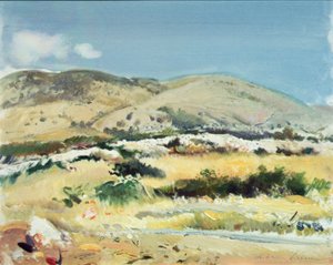 Gargano, 1981 - Antonio Ciccone