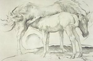 Chevaux à Coolmore, 1990