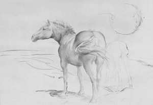 Chevaux à Coolmore, 1990 - Antonio Ciccone