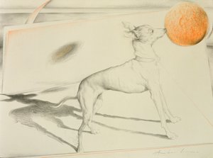 Chien de l