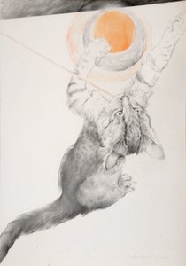 Image inconnue - Antonio Ciccone