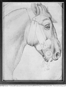 Tête de cheval, de l