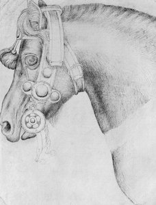 Tête de cheval, de l