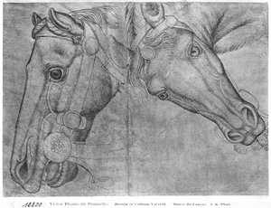 Têtes de chevaux, de l