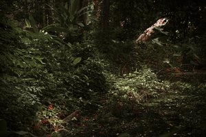 Ombres et lumières, 2025 (photographie numérique)