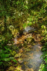 Mantiqueira Ridge, 2021 (photo)