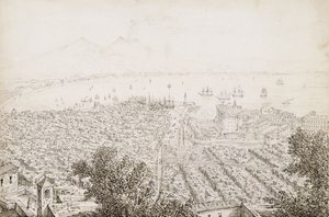 Vue panoramique de Naples - Antonio Senape