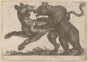 Un ours combattant un tigre (Vechtende dieren, série) - Antonio Tempesta