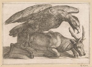 Un grand oiseau attaque un cerf (Animaux combattants) - Antonio Tempesta