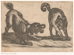 Un chien se battant avec un chat - Antonio Tempesta